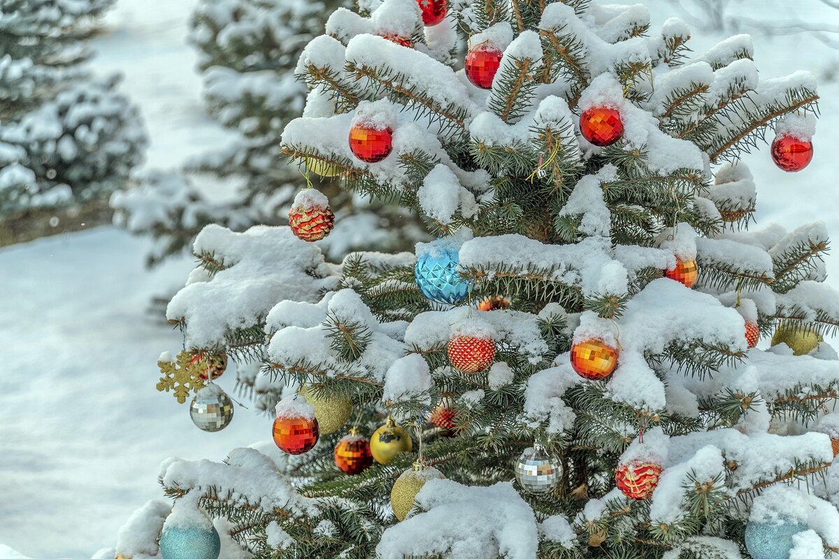 Февральский Новый Год - Валерий Иванович