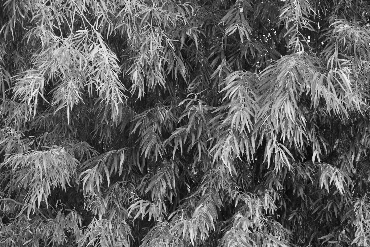 Название отсутствует - Денис Безногов Название отсутствует - Денис Безногов