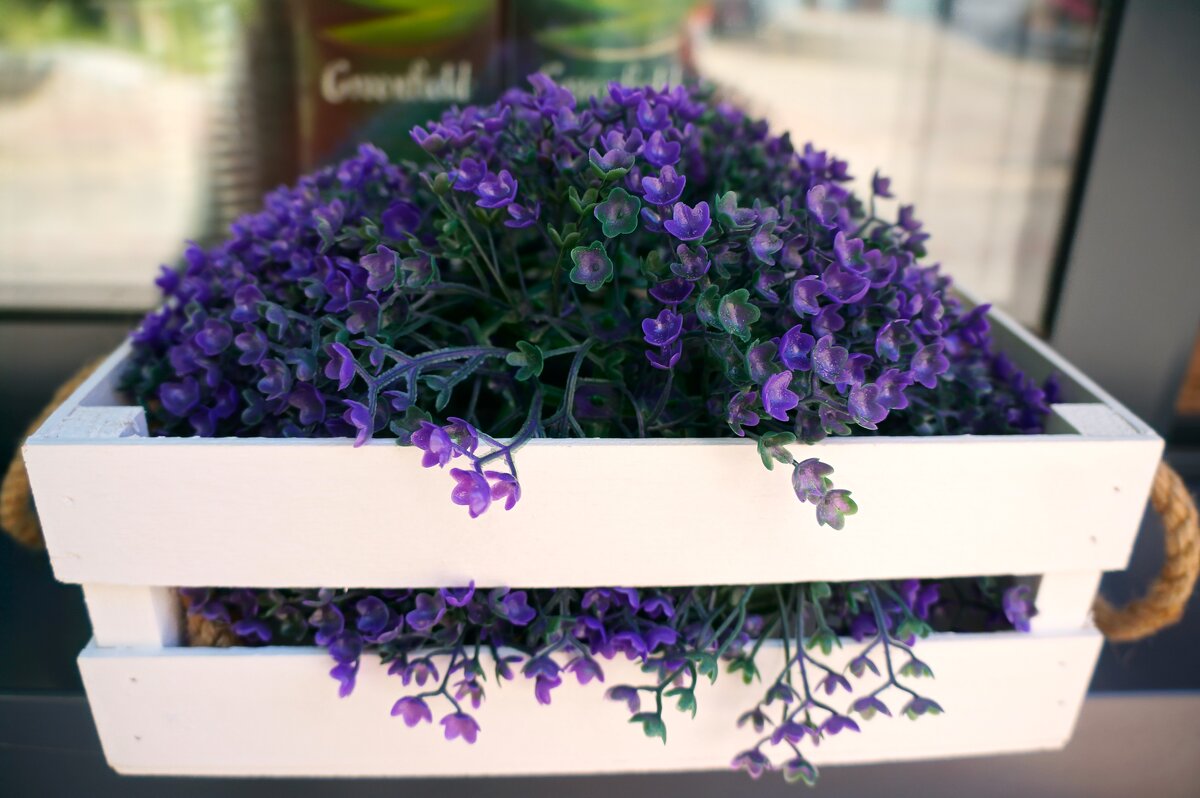 * * * - Алёна Савина