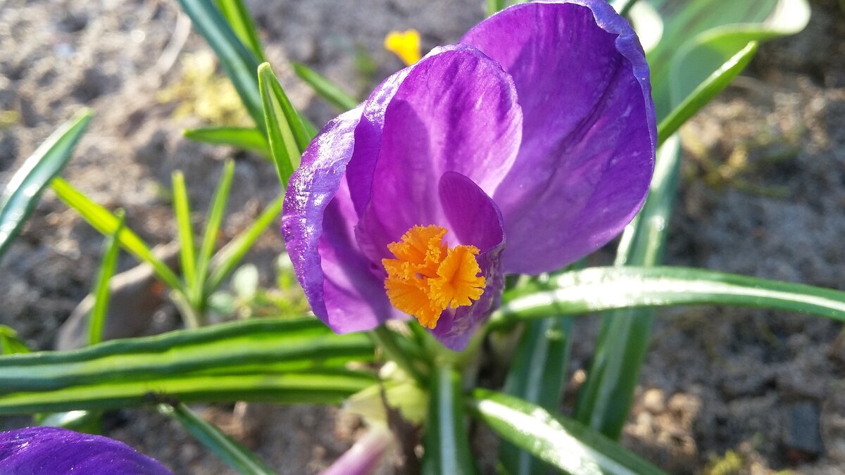 ***один из первых*** - Olga Oskolkova ***один из первых*** - Olga Oskolkova