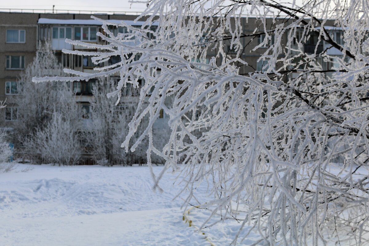 Город в инее - Ольга 