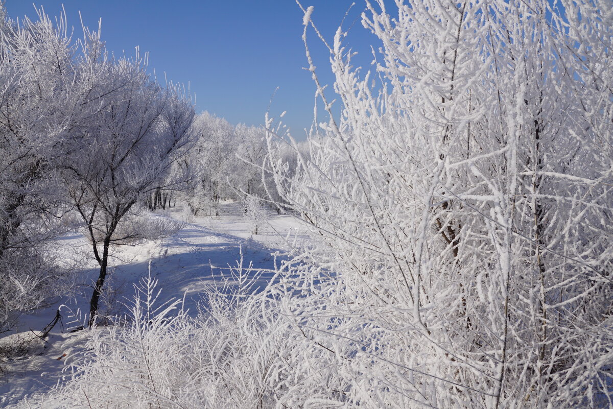 Студёное утро - Наталия Григорьева Студёное утро - Наталия Григорьева