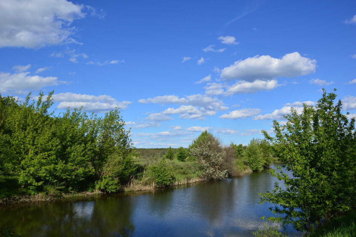 Донские виды. - Виктор Донские виды. - Виктор