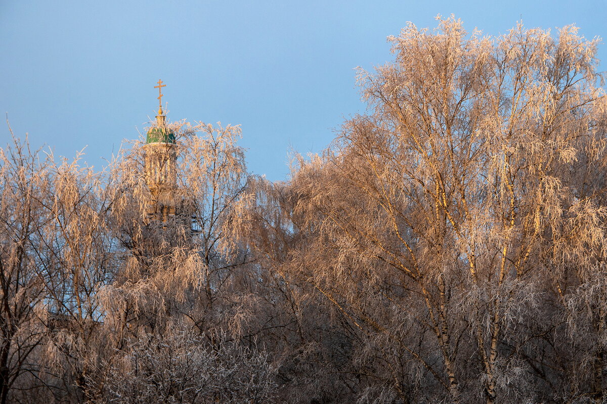 *** - Анатолий. Chesnavik. *** - Анатолий. Chesnavik.