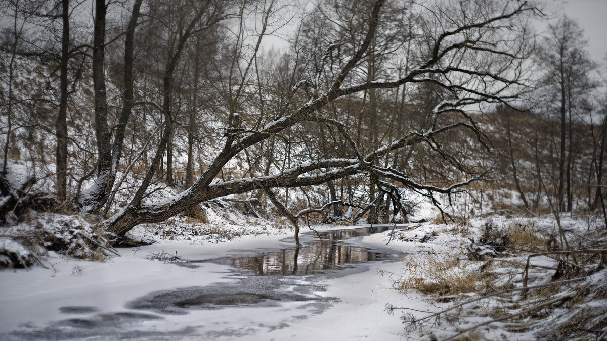 Зеркальце - sorovey Sol