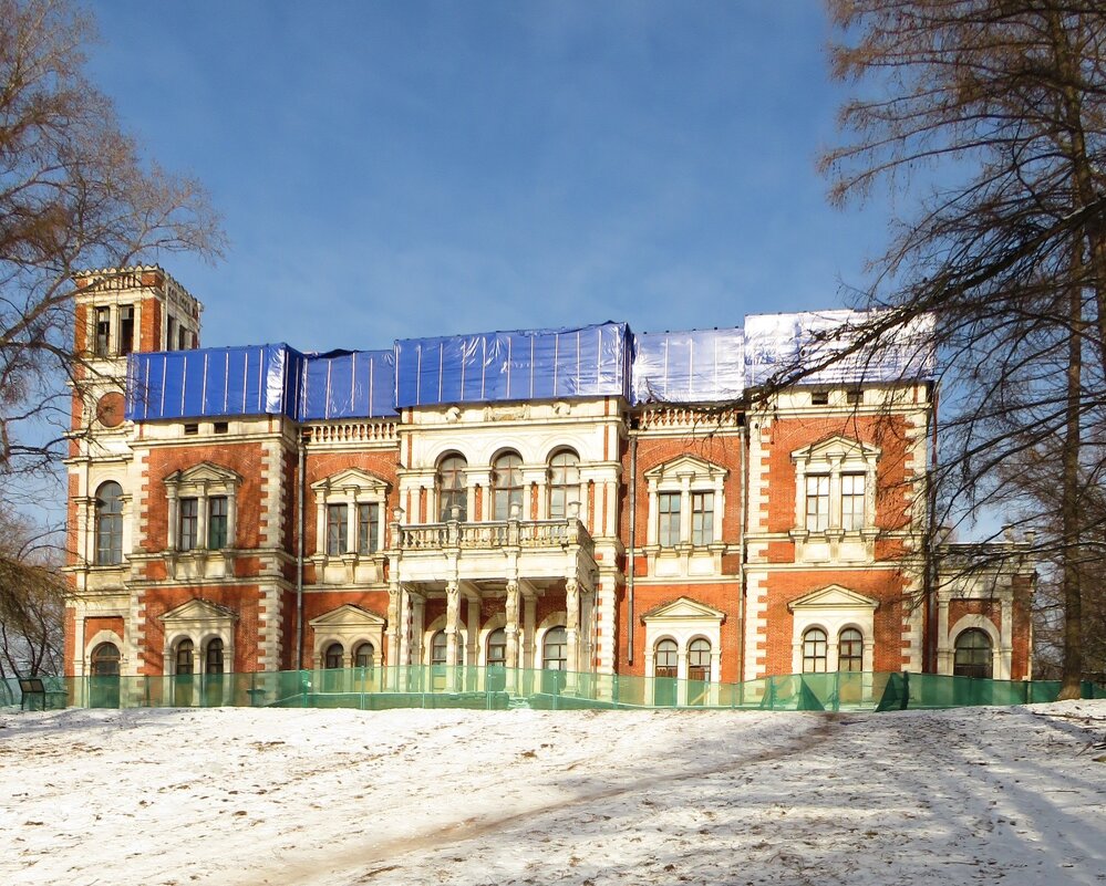 Дворец в усадьбе - Андрей Снегерёв