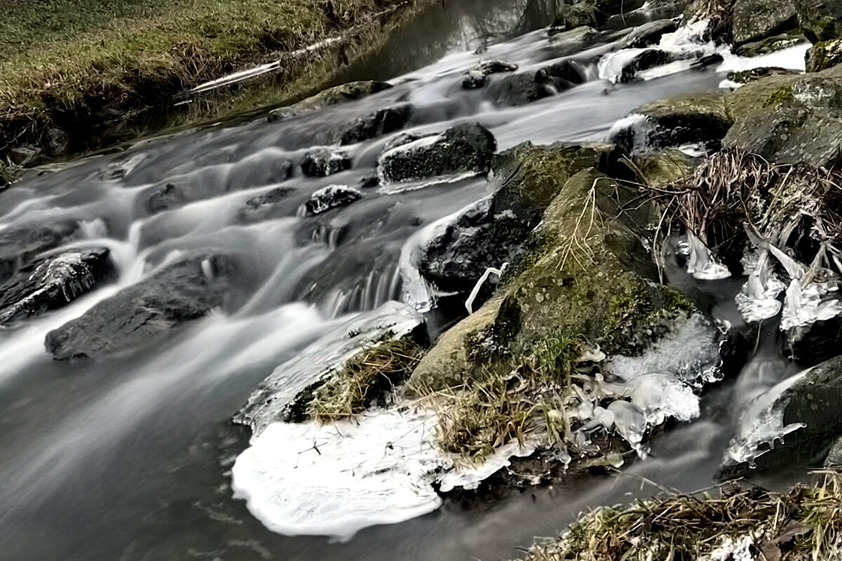 Пришла весна! Журчат ручьи, Светлеет небосвод, И дарит таинство любви, Которое несёт. - "The Natural World" Александер