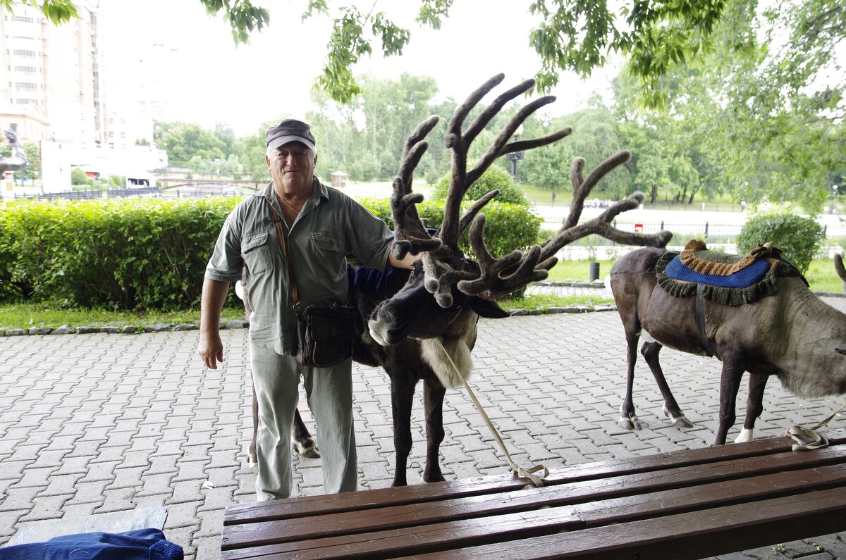 Фото с оленем - Сергей Швечков Фото с оленем - Сергей Швечков