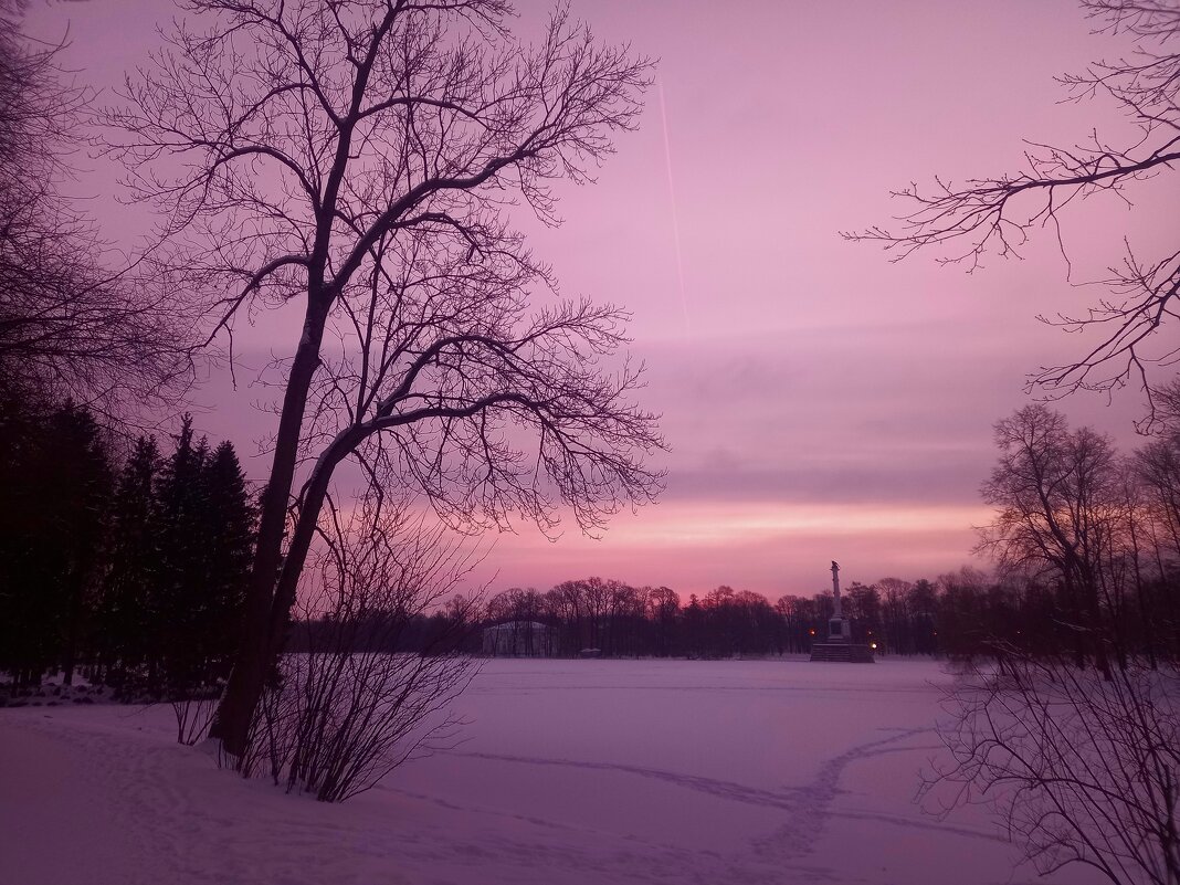 Рассвет - Сапсан 