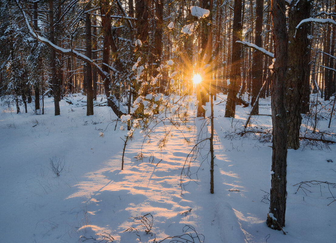 Луч в лесу дремучем - Валерий VRN