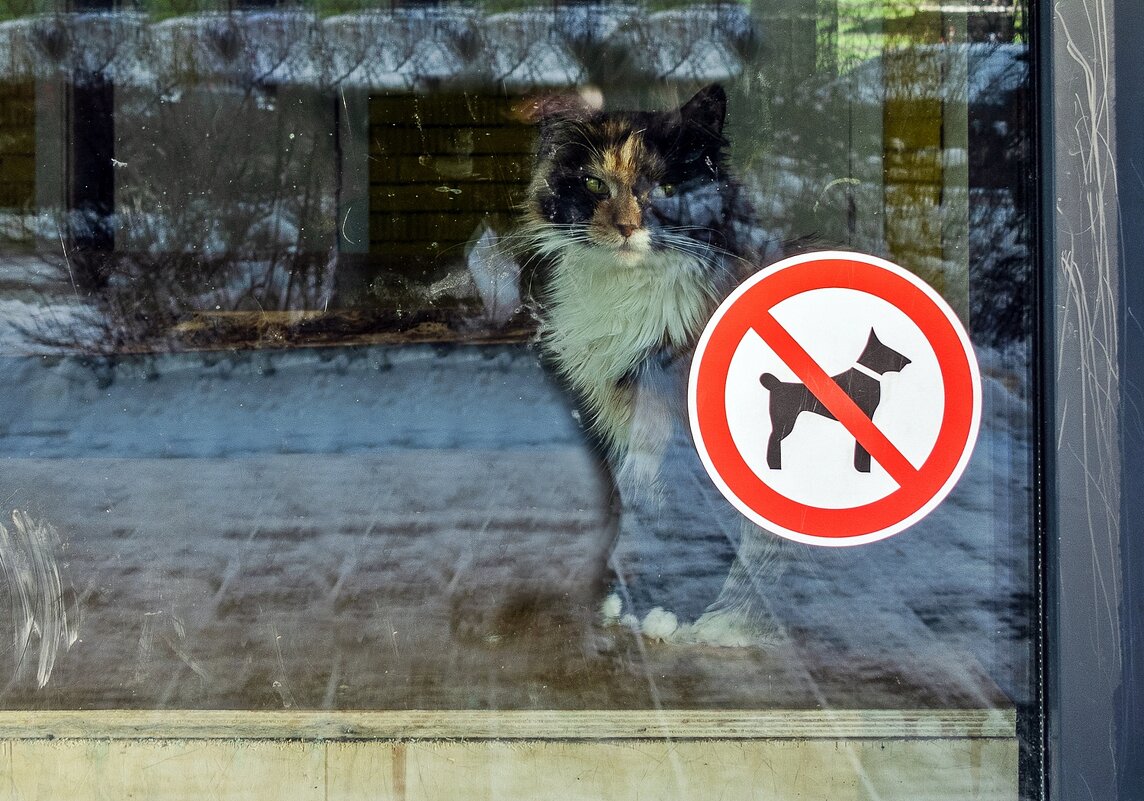 За стеклом - Валерий Иванович