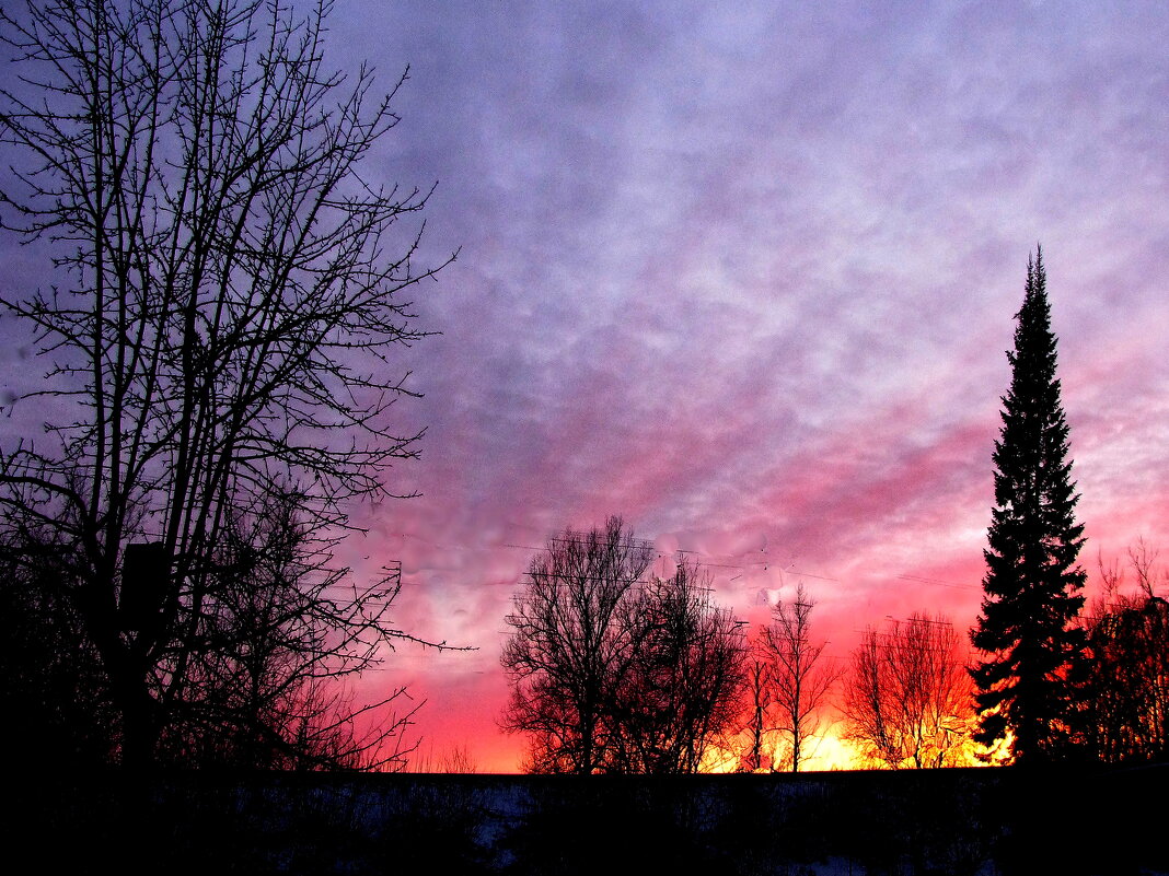 Красивый вечер - Людмила Смородинская