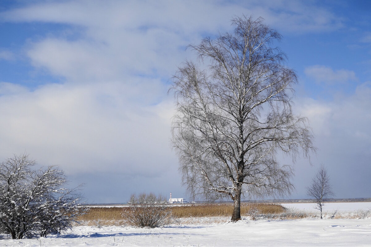 Побережье Калининградского залива - Рита Симонова Побережье Калининградского залива - Рита Симонова