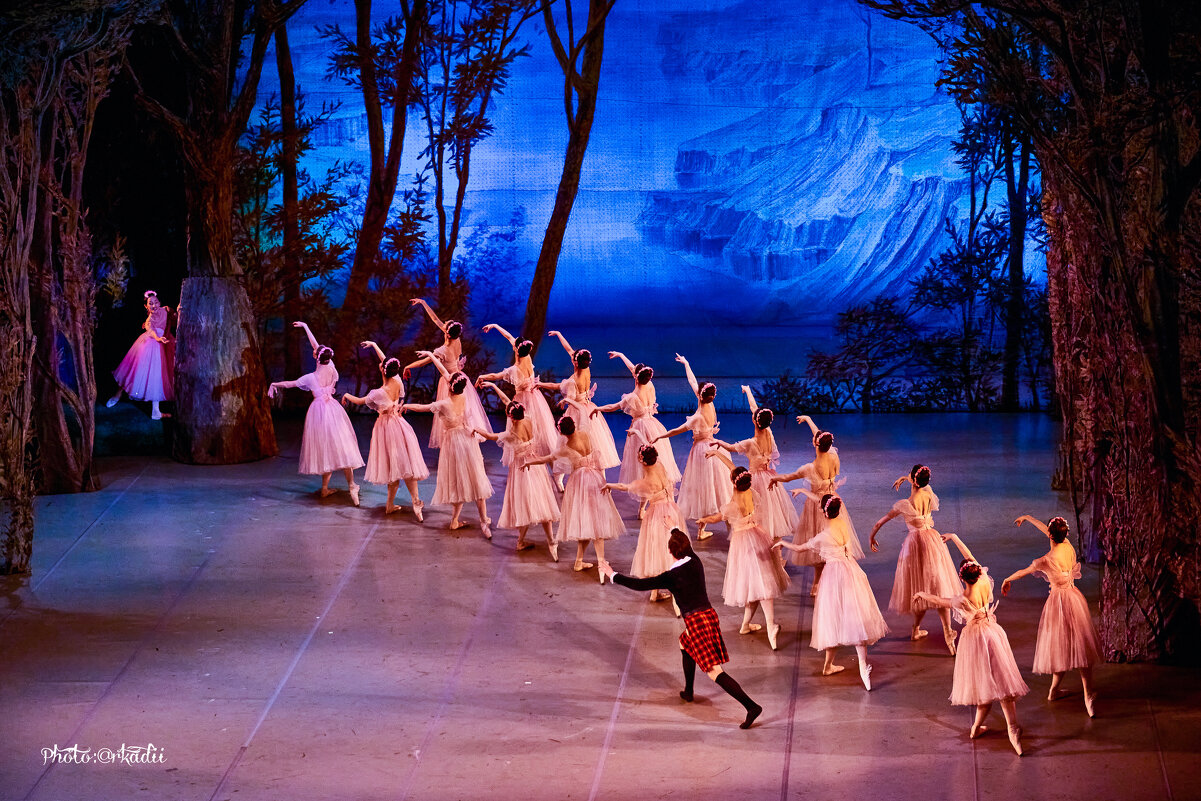 Балет, балет, балет. - arkadii 