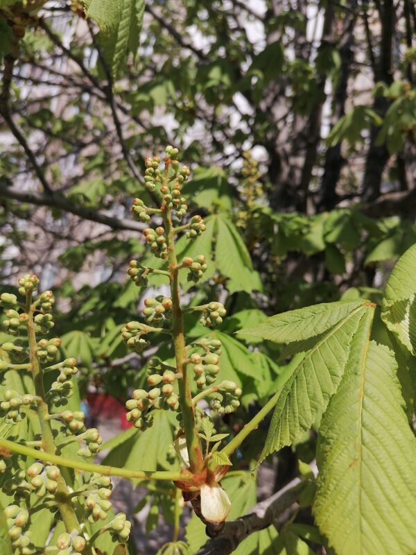 ,,, - Сергей Тимоновский