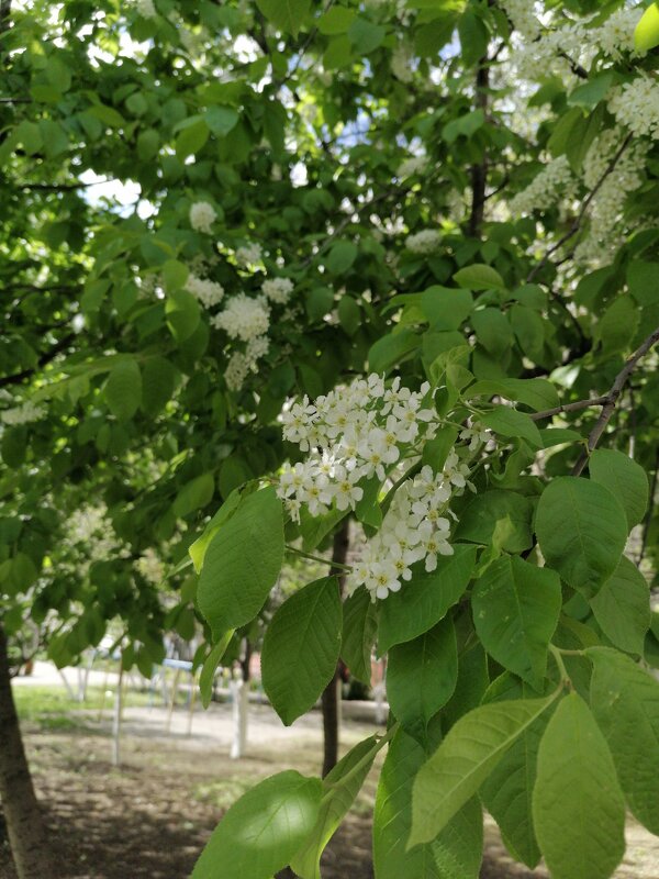 ,,, - Сергей Тимоновский ,,, - Сергей Тимоновский
