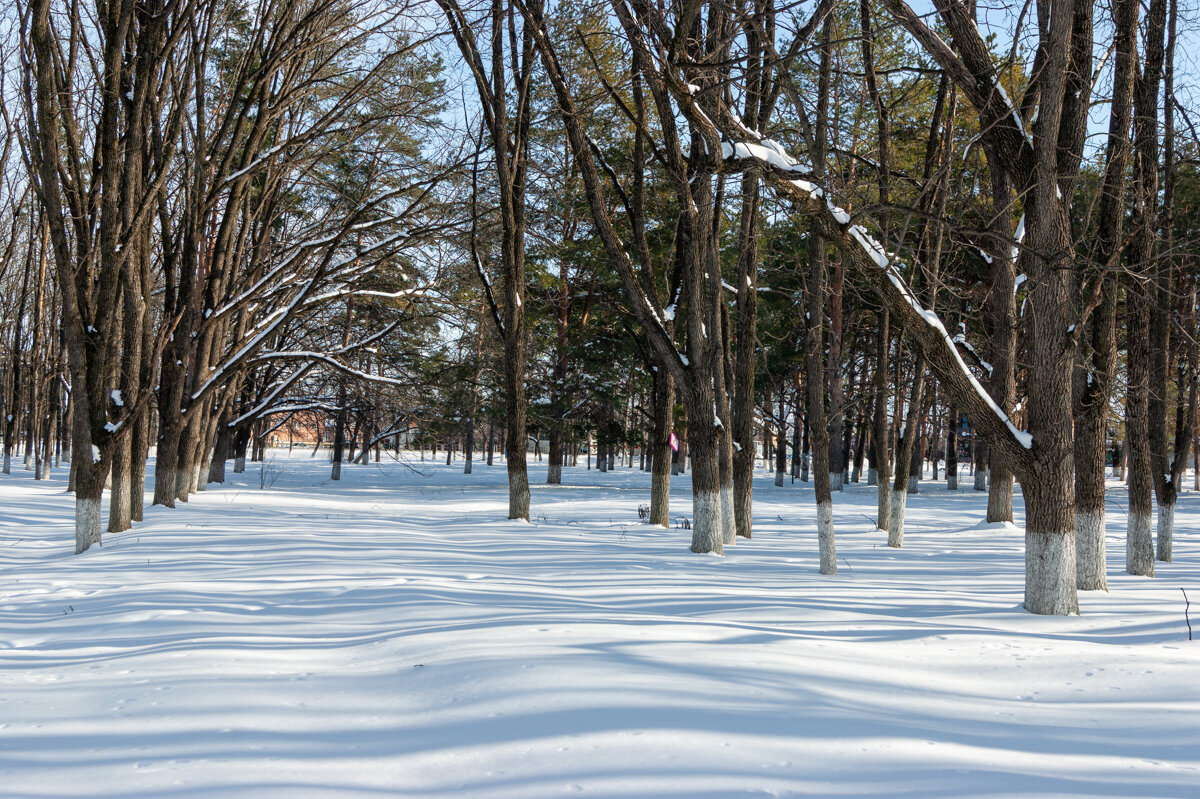 Вчерашний день - Игорь Сикорский Вчерашний день - Игорь Сикорский