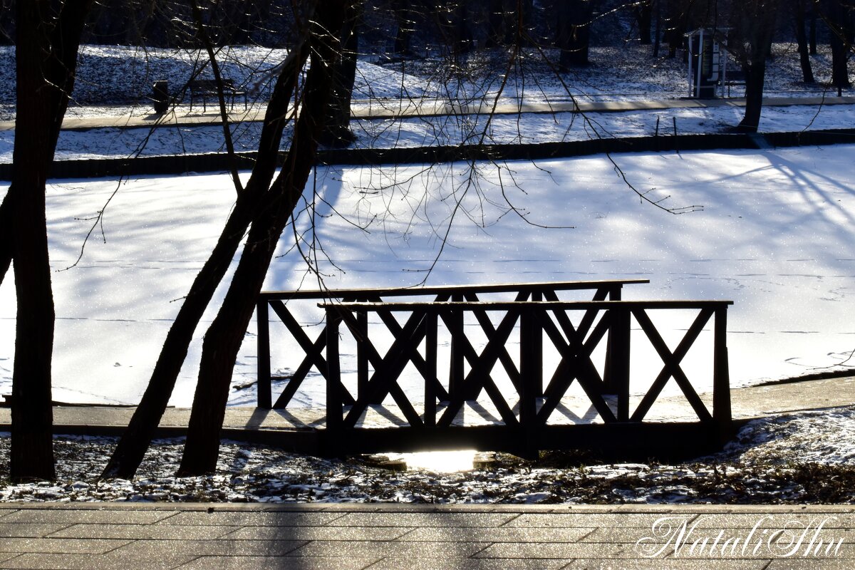 Солнечный день. - Наталья Вязигина