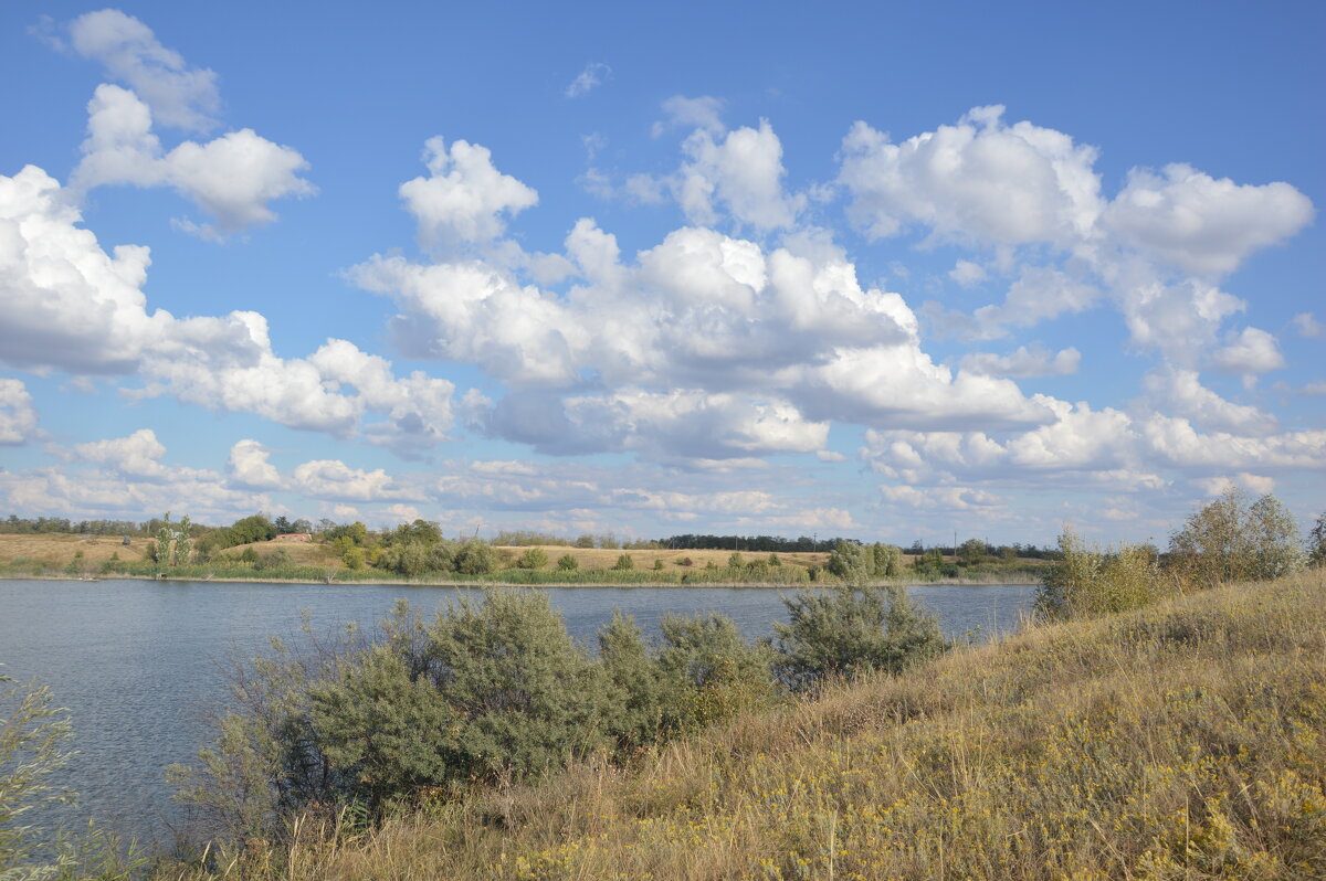 У пруда. - Виктор 