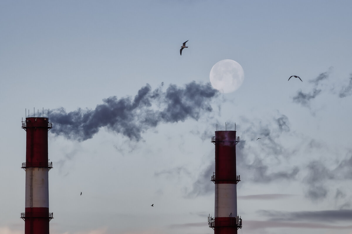 Про Питер - Владимир Колесников Про Питер - Владимир Колесников