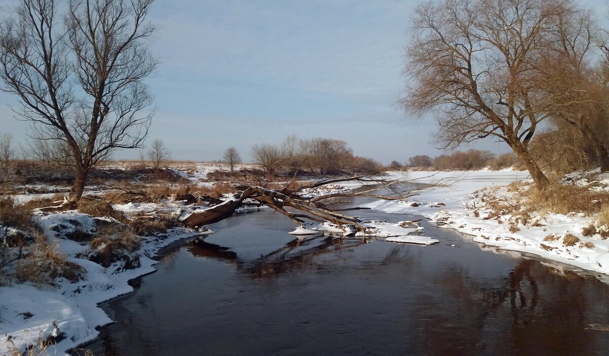 Речные отражения - Galina Solovova