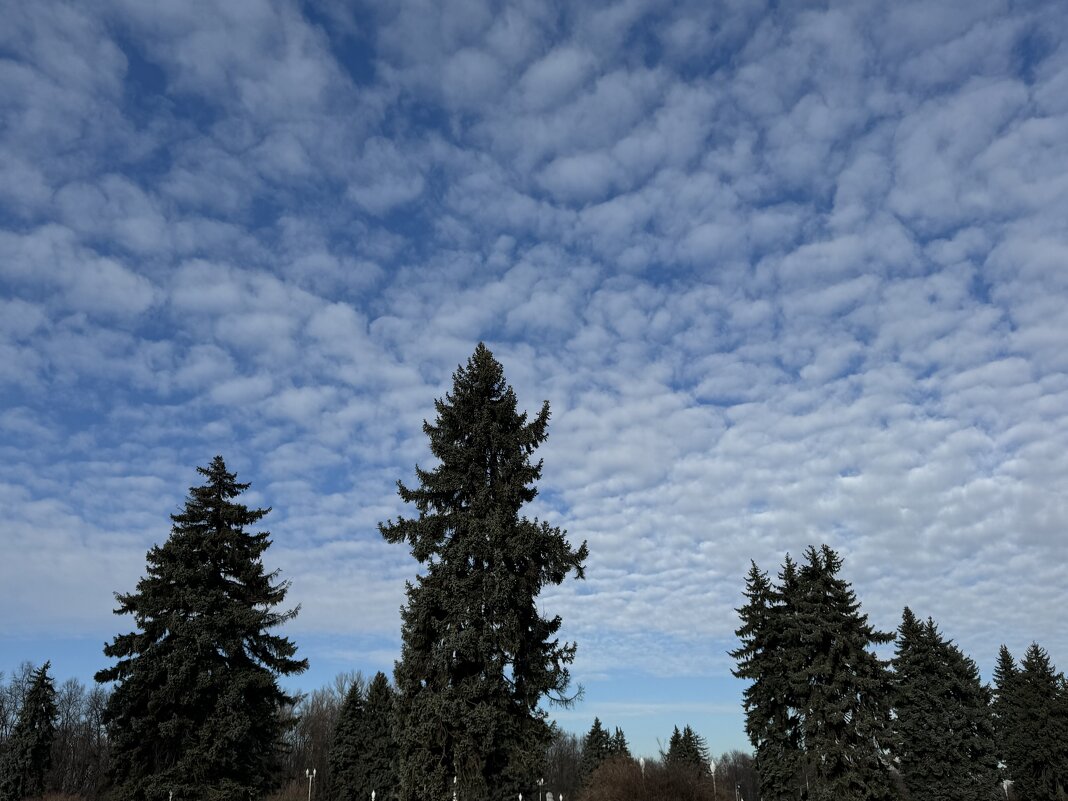 ☀️✌️ - Анна Камс ☀️✌️ - Анна Камс