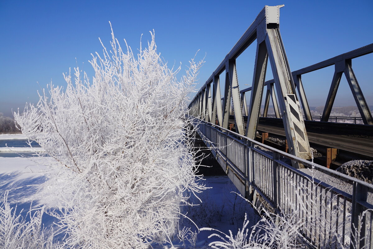 Зимний мост - Наталия Григорьева