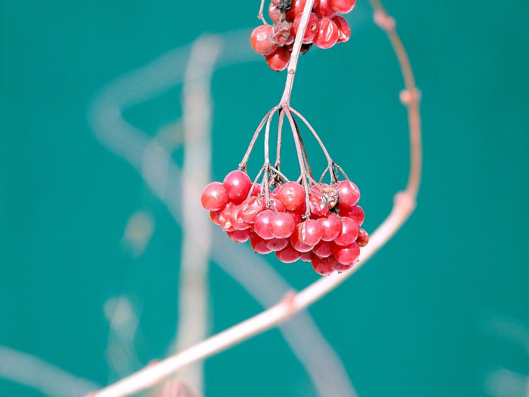 *** - Леонид leo *** - Леонид leo