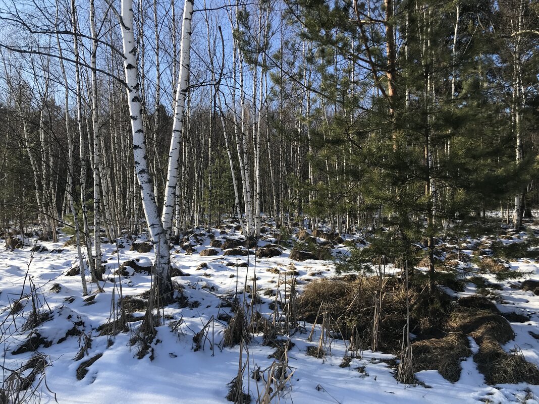 У зимнего озера. - Любовь У зимнего озера. - Любовь
