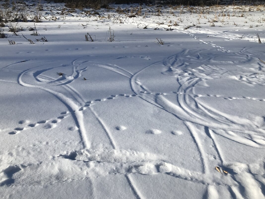 Рисунки на зимнем озере. - Любовь Рисунки на зимнем озере. - Любовь