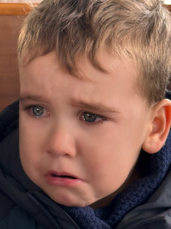 эмоции - Vasiliy V. Rechevskiy