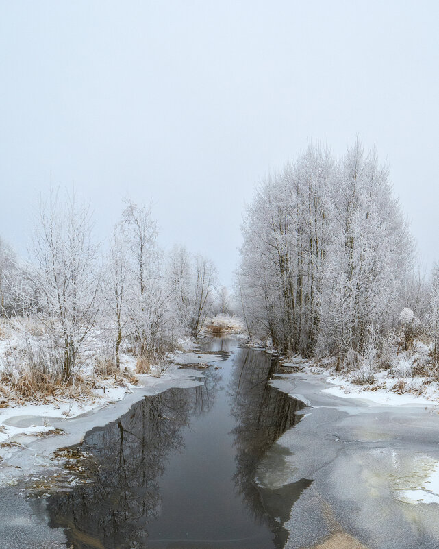 Зимний лес - D. Matyushin.