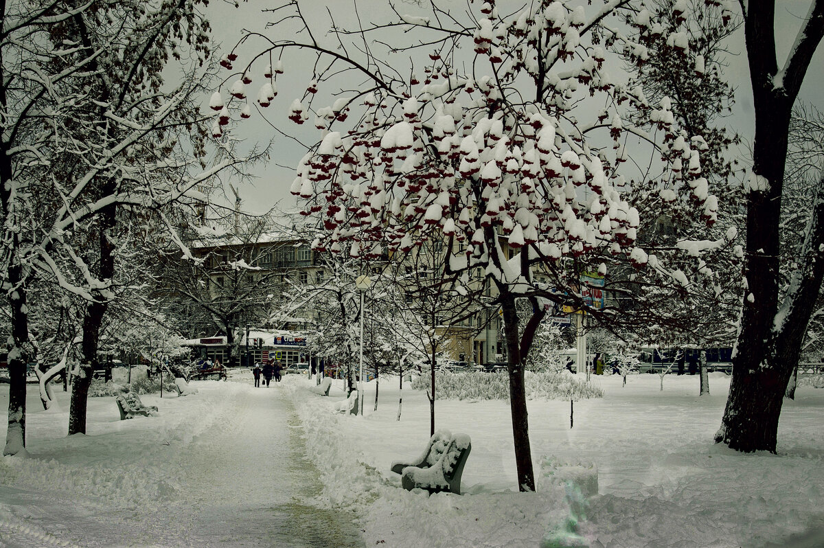 ... - владимир 