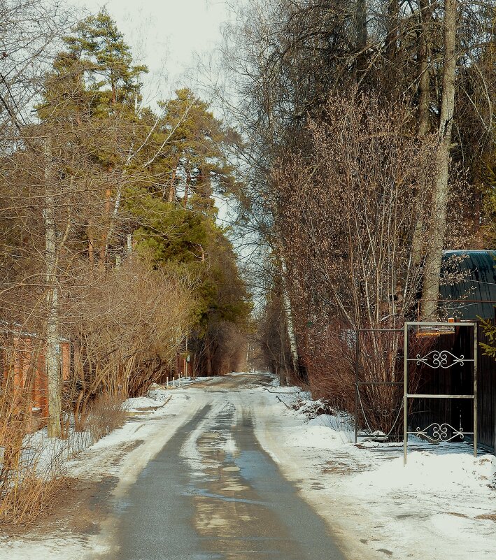 Загорянка. Зима - Леонид leo Загорянка. Зима - Леонид leo
