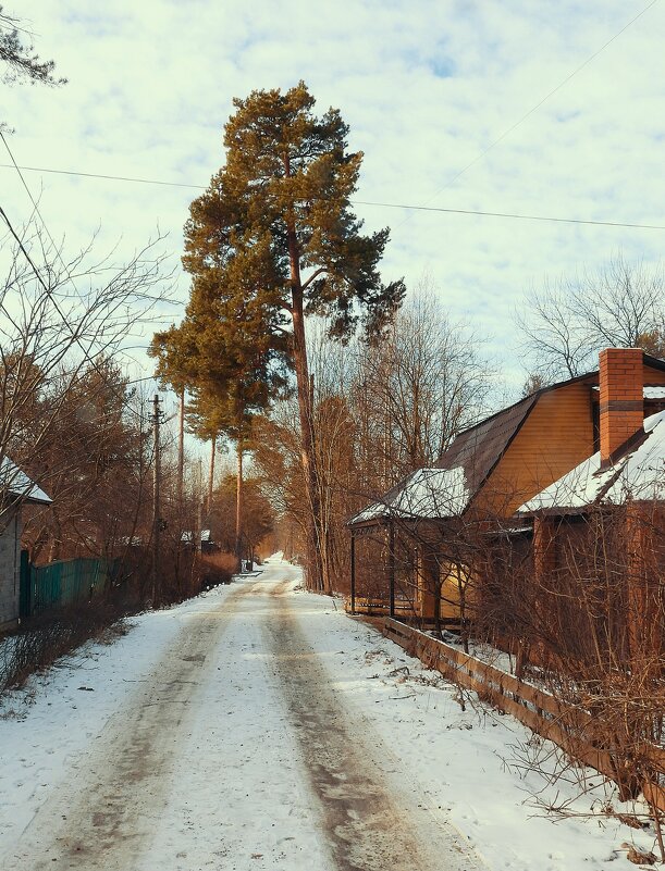 Загорянка. Зима - Леонид leo Загорянка. Зима - Леонид leo