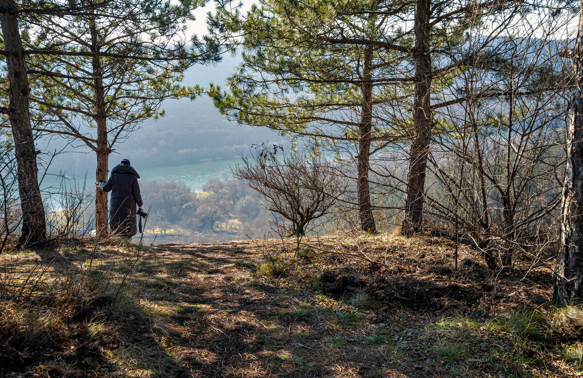 "-" - Светлана Фокша