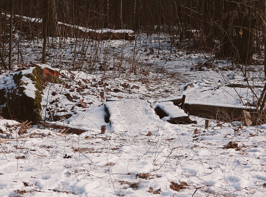 *** - Леонид leo