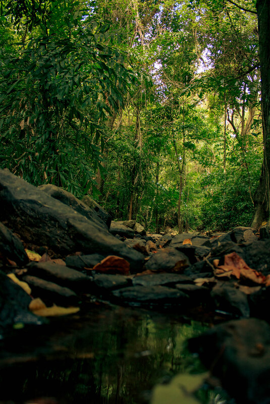 Ao Yon Waterfall - Игорь Симонов