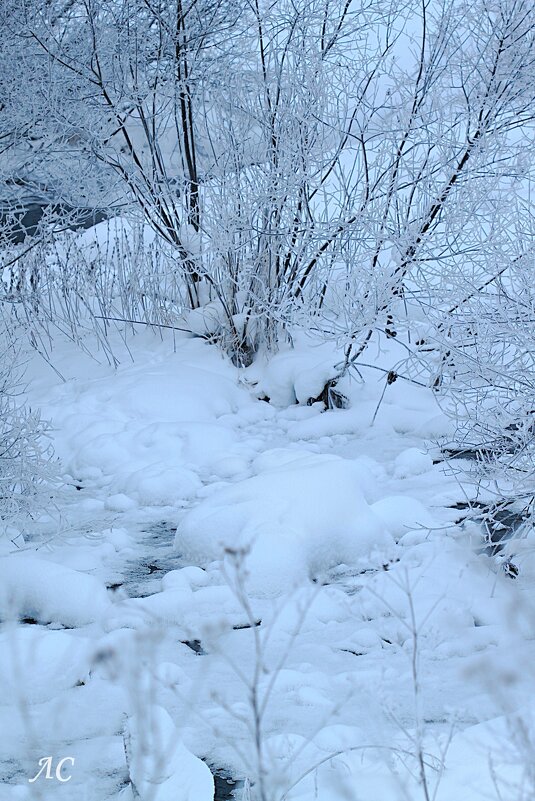 Зимняя зарисовка - Любовь Сахарова