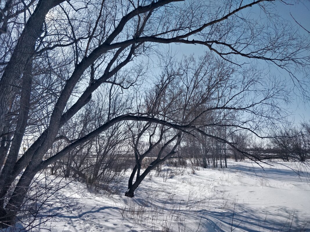Зима,держится. - Андрей Хлопонин Зима,держится. - Андрей Хлопонин