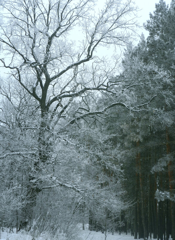 *** - Лера *** - Лера