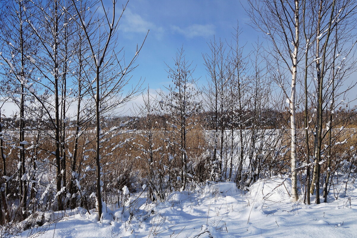 В окрестностях Калининграда - Рита Симонова