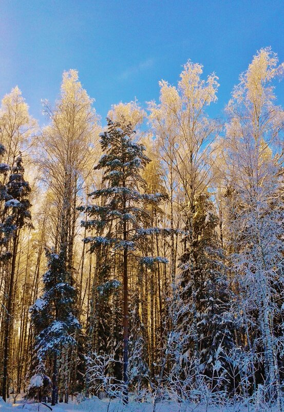 пейзаж - Владимир пейзаж - Владимир