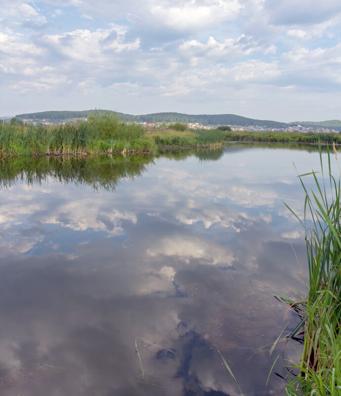 Летнее утро на реке Миасс. - Алексей Трухин Летнее утро на реке Миасс. - Алексей Трухин