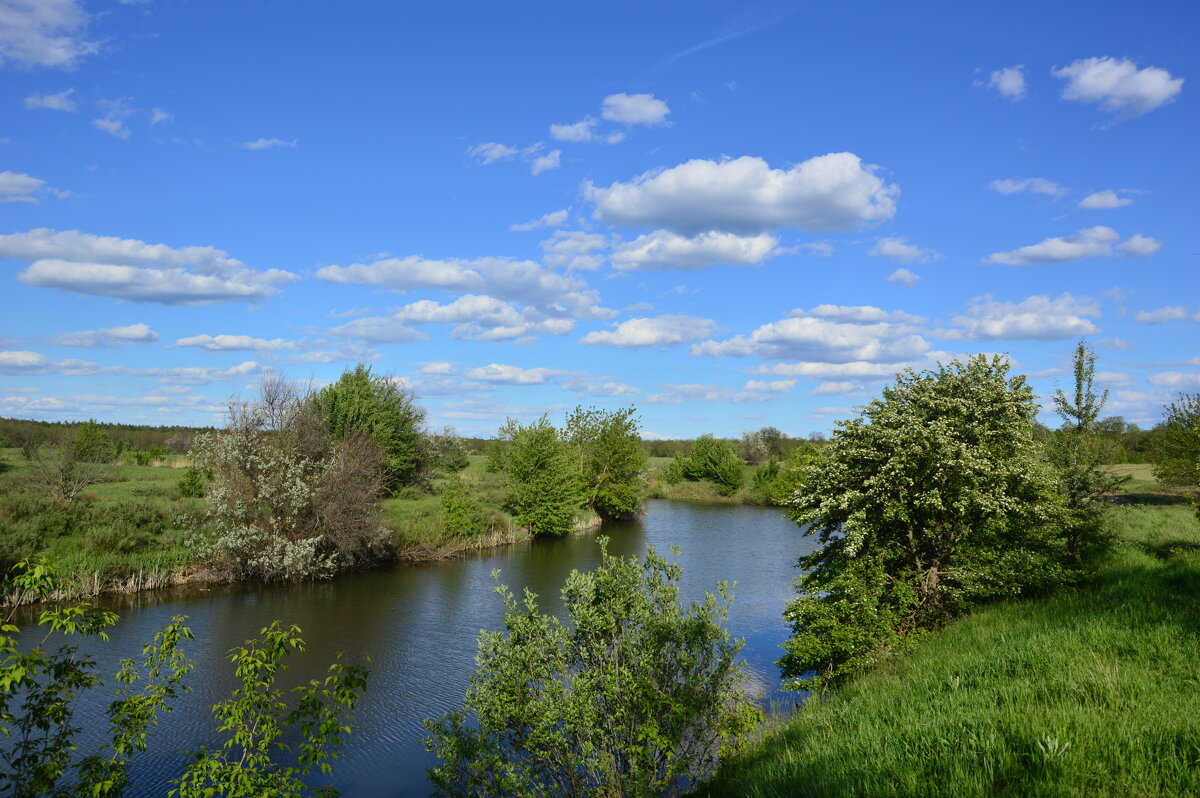 У реки. - Виктор 