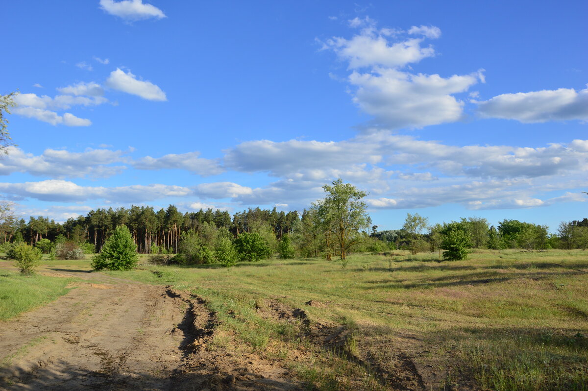 Мои дороги. - Виктор 