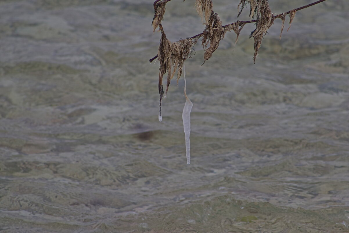 Сосулька - Giant Tao /