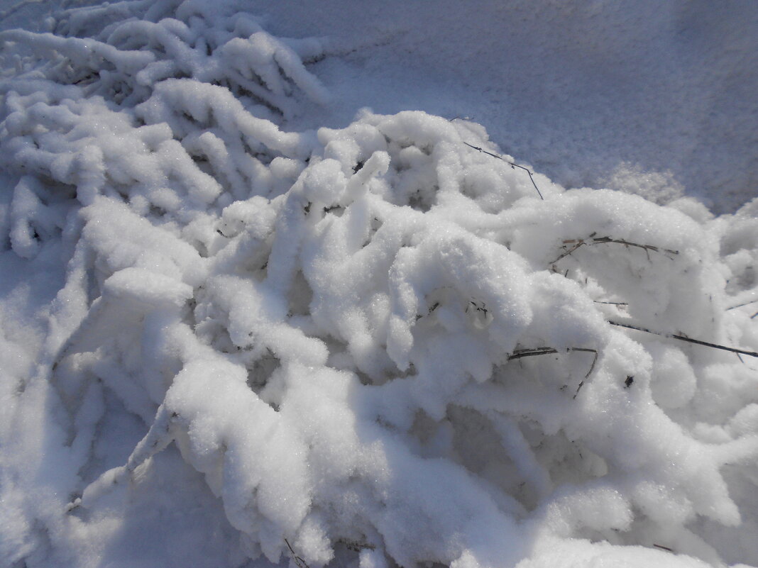 февраль - Елена Шаламова