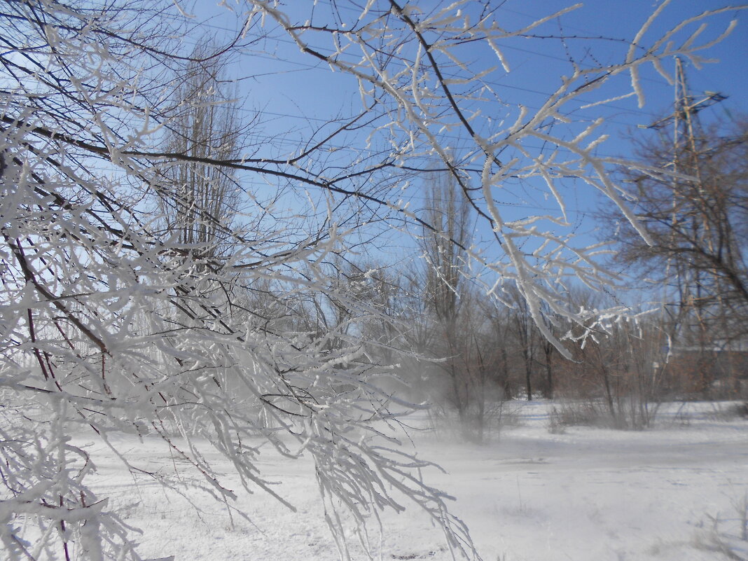 февраль - Елена Шаламова