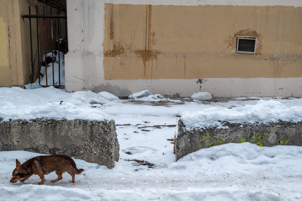 *** - Валерий Михмель *** - Валерий Михмель
